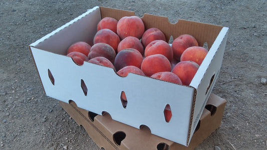 Full Box of Palisade Peaches (2-Layers)