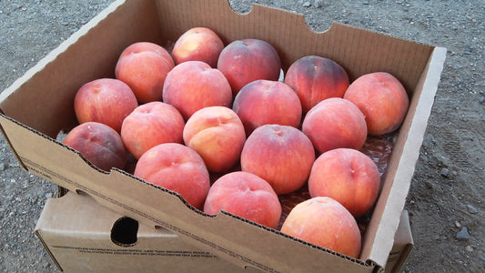 Half Box Palisade Peaches (1-Layer)
